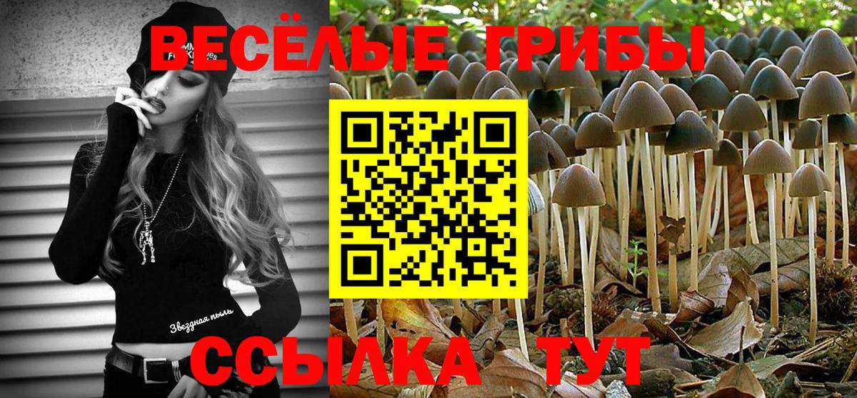 Галлюциногенные грибы мухоморы  Вход с VPN  Мариинск 