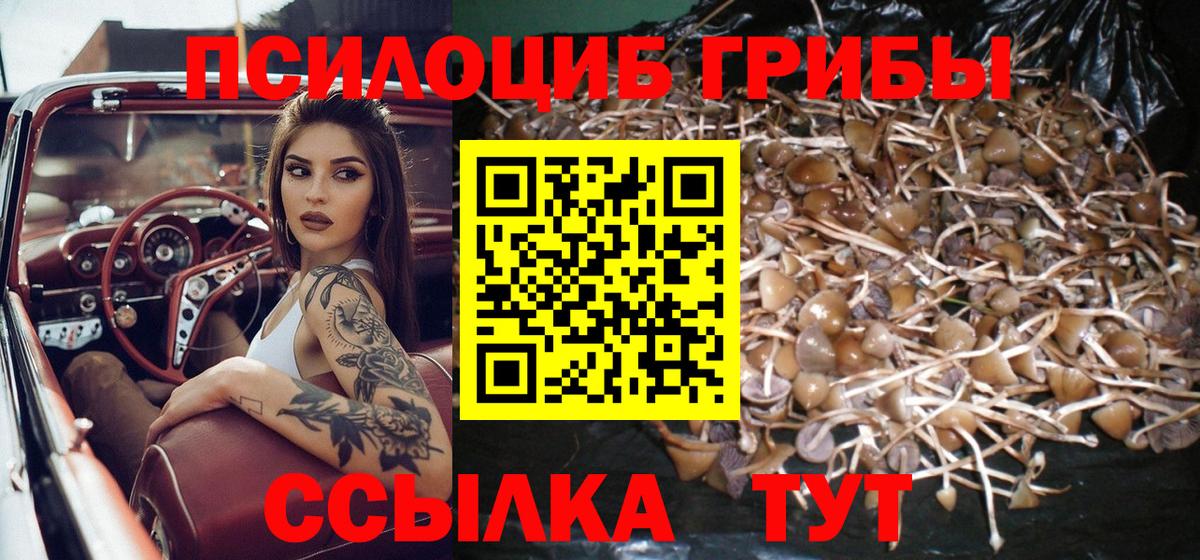 Псилоцибиновые грибы прущие грибы Мариинск